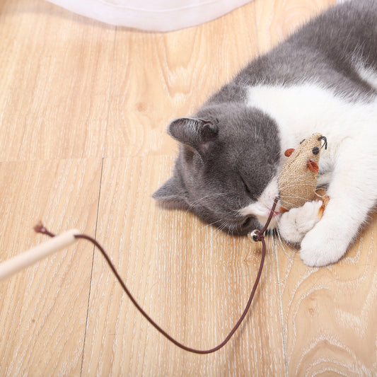 Cat Feather Fetcher (Seven Days Gift Box)