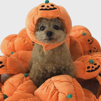 Halloween Pumpkin Hat (Cat/Dog)