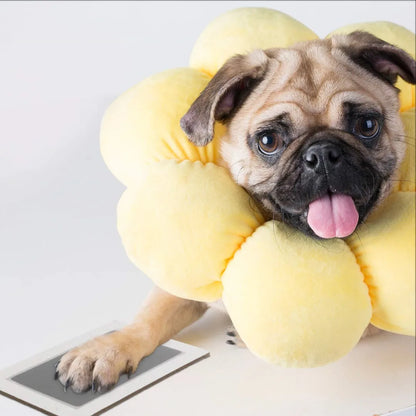 NEW!! Pet Footprints Ink Pads Kits